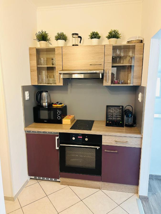 Apartment Beautiful Dlouha Prague